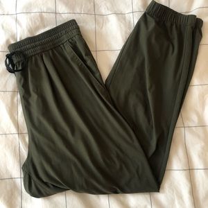 Aritzia community joggers